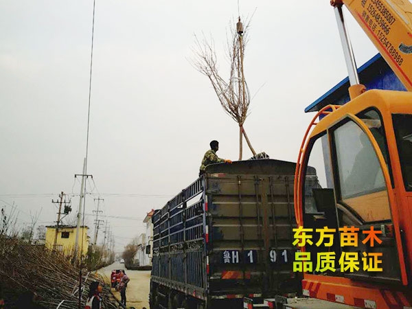 裝車現(xiàn)場(chǎng)