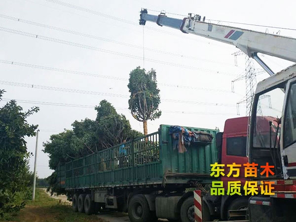 裝車現(xiàn)場(chǎng)